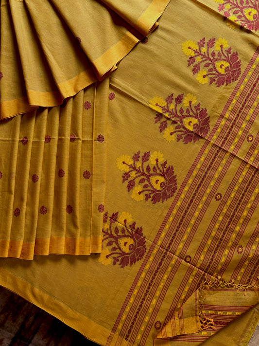 Phulia Cotton