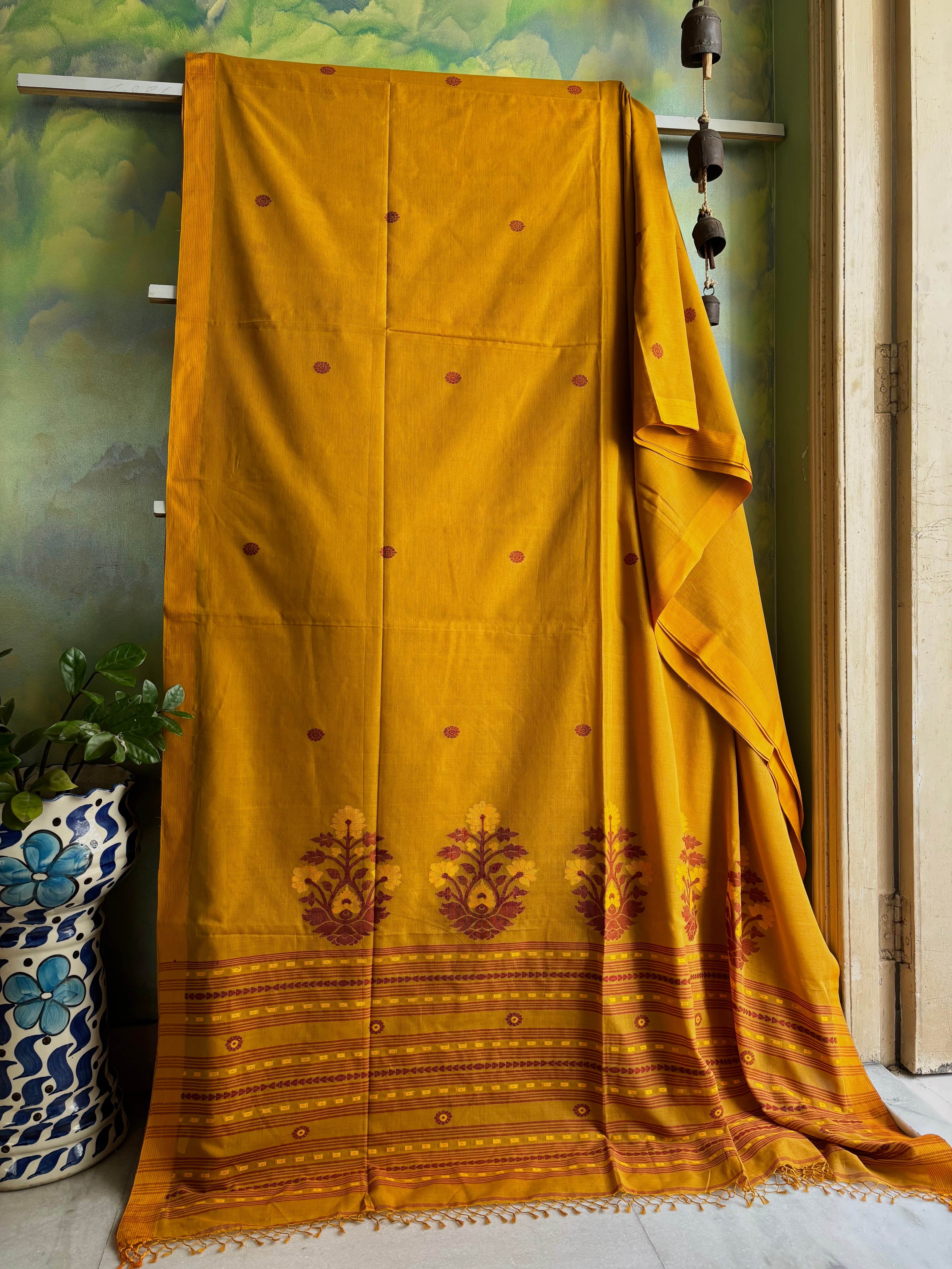 Phulia Cotton
